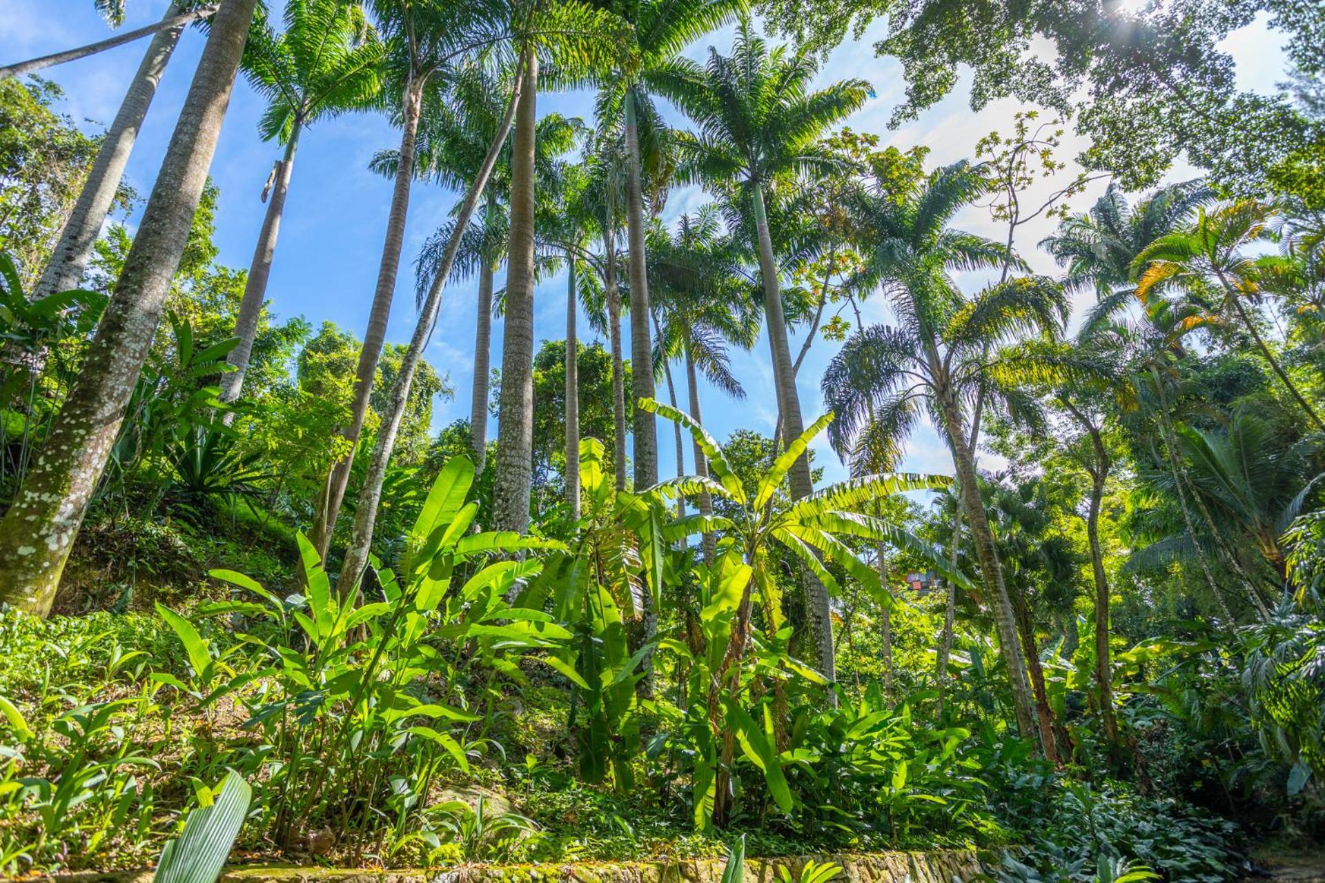 Cabanas Do Bosque Ильябела Экстерьер фото